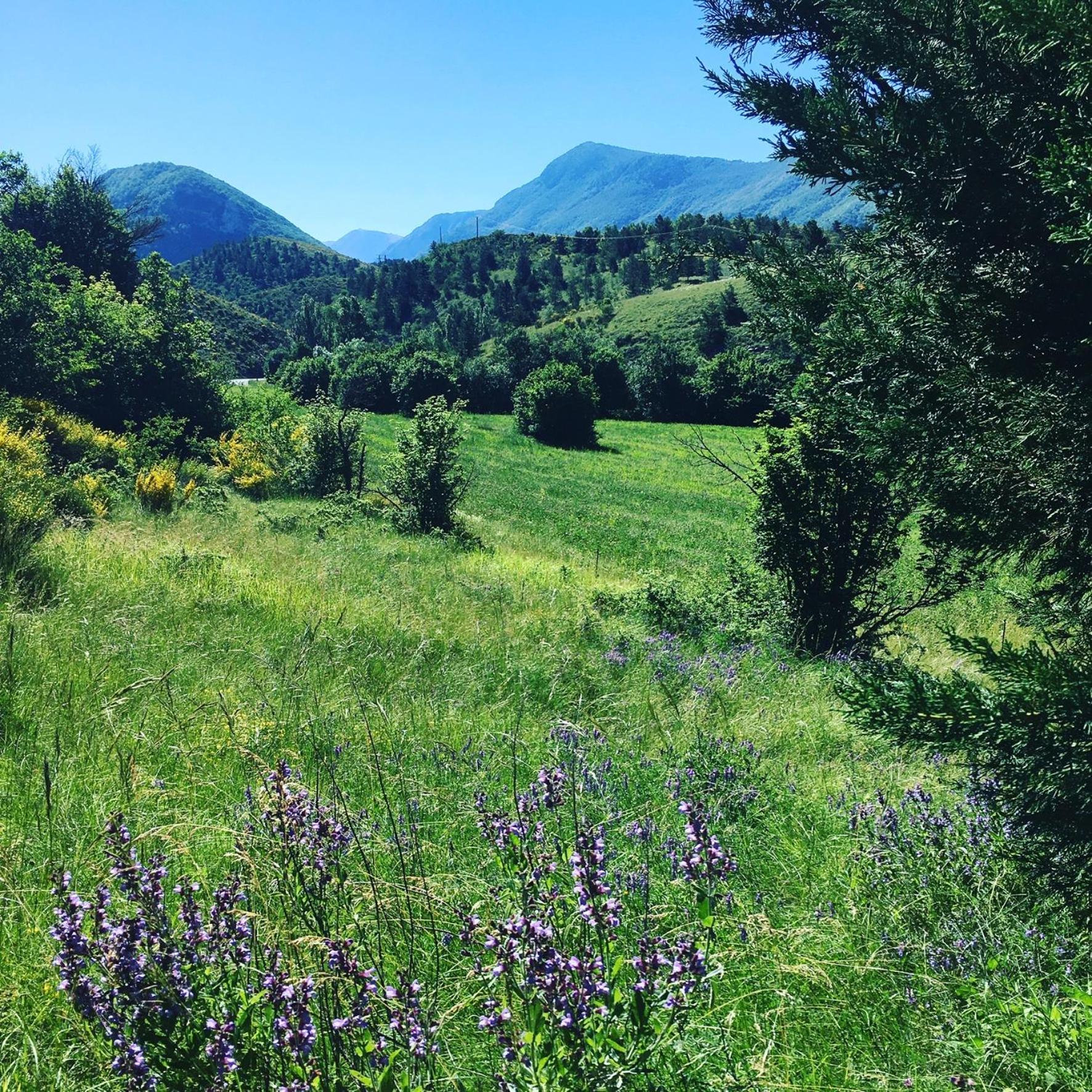 Le Moulin De La Viorne, Gite Avec Piscine Au Coeur De La Nature En Haute-Provence Les Omergues Zewnętrze zdjęcie