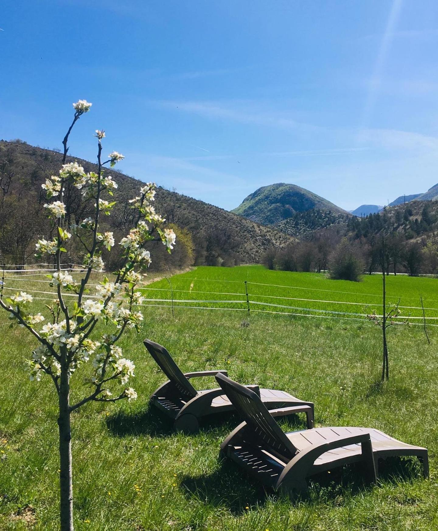 Le Moulin De La Viorne, Gite Avec Piscine Au Coeur De La Nature En Haute-Provence Les Omergues Zewnętrze zdjęcie