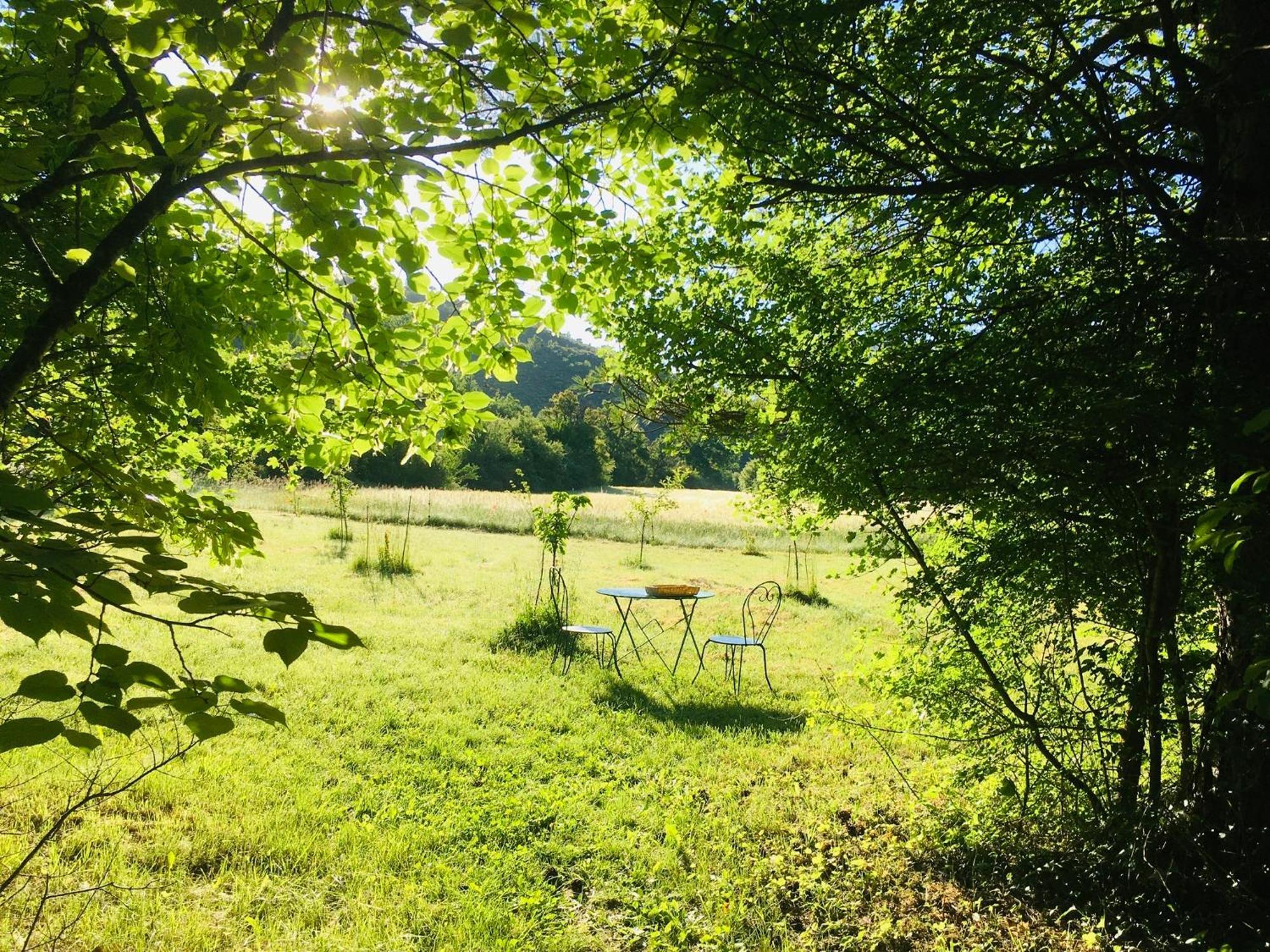 Le Moulin De La Viorne, Gite Avec Piscine Au Coeur De La Nature En Haute-Provence Les Omergues Zewnętrze zdjęcie