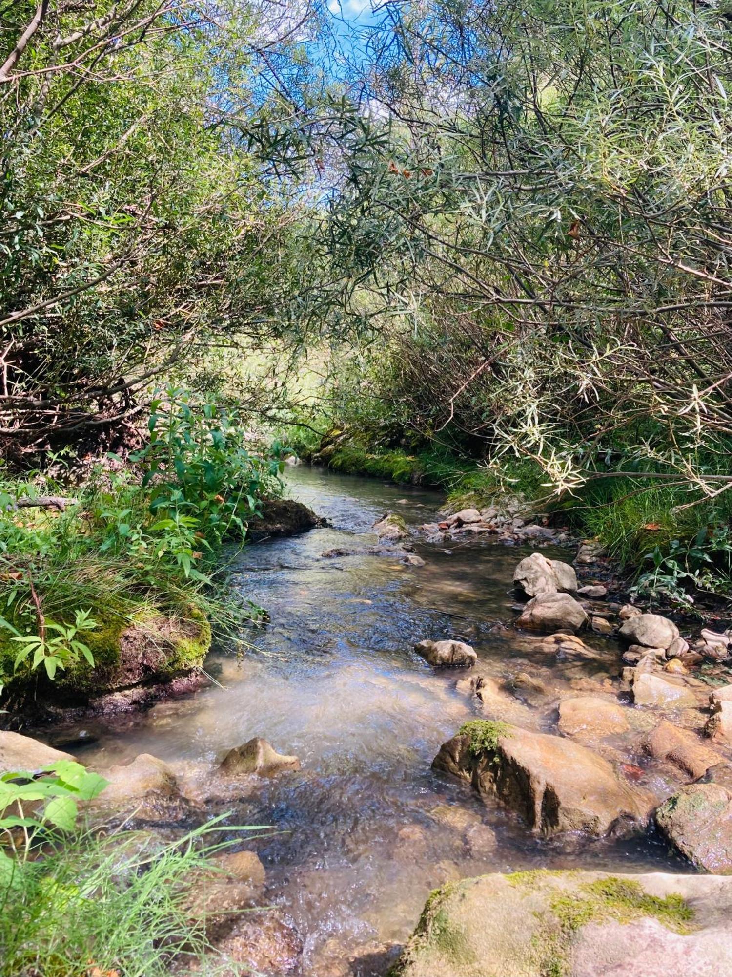 Le Moulin De La Viorne, Gite Avec Piscine Au Coeur De La Nature En Haute-Provence Les Omergues Zewnętrze zdjęcie